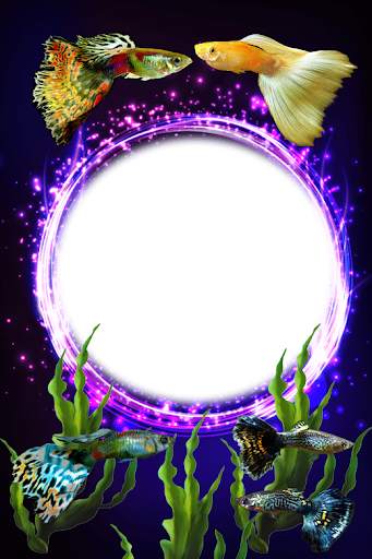 Guppy Fishs Photo Frames screenshot 6
