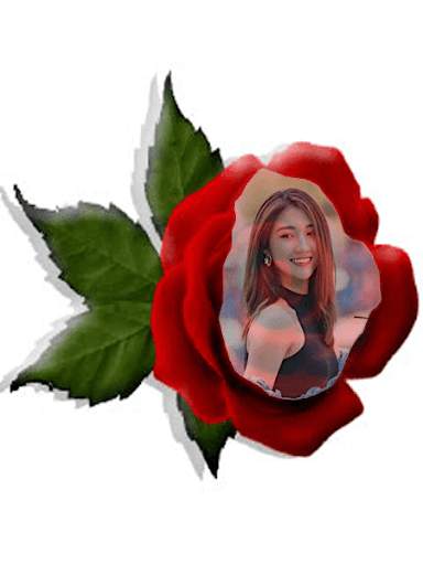 Red Rose Photo Montage screenshot 3