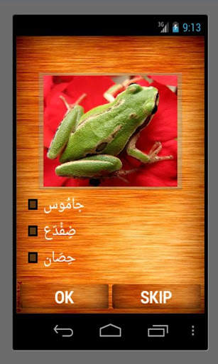 Arabic -English  Word Quiz screenshot 6