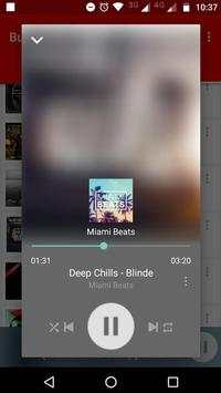Tube MP3 Music Player screenshot 2