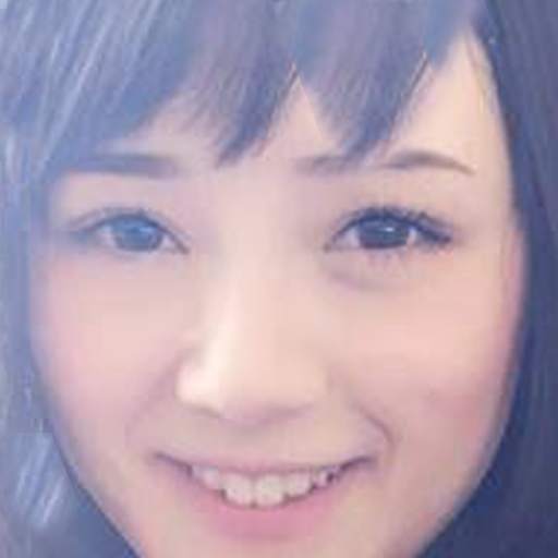 Japanese Browser Anti Blokir 1.0.20