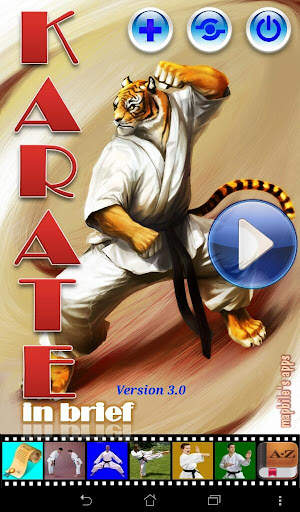 Karate in brief screenshot 9