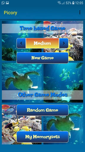 Picory - The Photo Memory Game screenshot 1