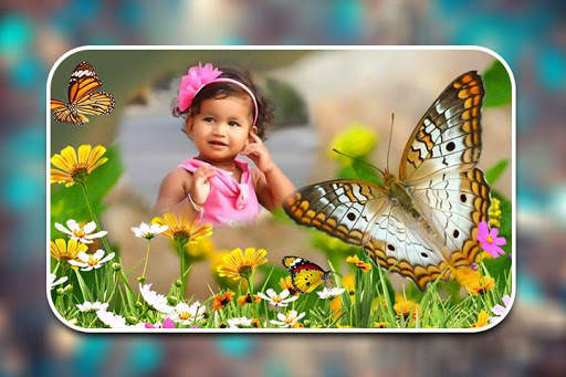 Butterfly Photo Frames screenshot 4