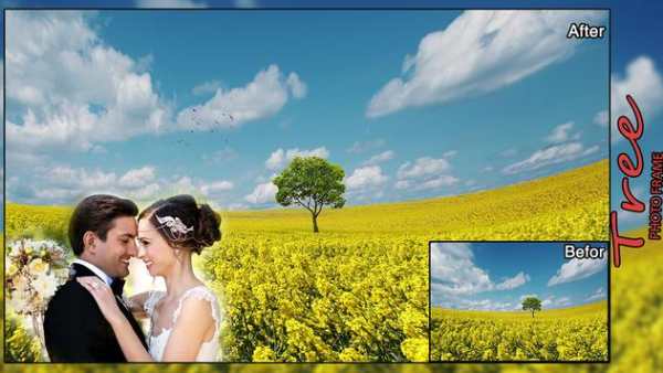 Transparent Tree Photo Frames screenshot 5