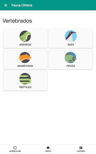 Fauna chilena screenshot 6