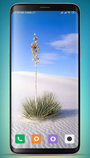 Plants Wallpaper HD screenshot 7