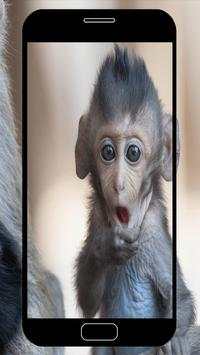 Monkey Wallpapers screenshot 3