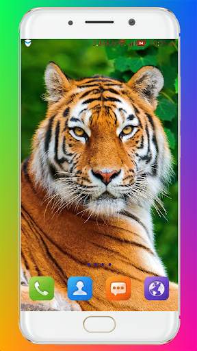 Tiger Wallpaper HD screenshot 3