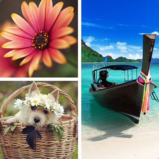 Photo Collage Editor 2.4.10