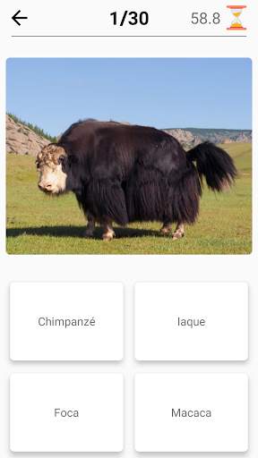 Mamíferos -Aprenda todos os animais no Photo-Quiz! screenshot 7
