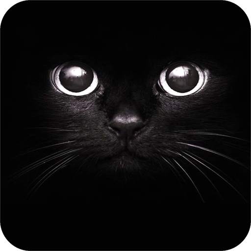 Black Wallpaper 1.09