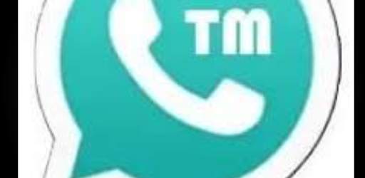 TM WhatsApp: Version 2022 screenshot 1