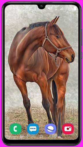 Horse Wallpaper Best HD screenshot 14