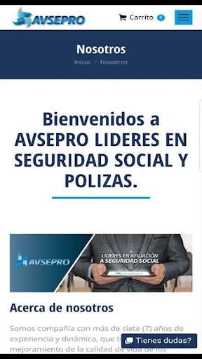 Avsepro Seguridad Social Y Pólizas. screenshot 3