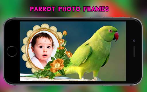 Parrot Photo Frames 1 تصوير الشاشة