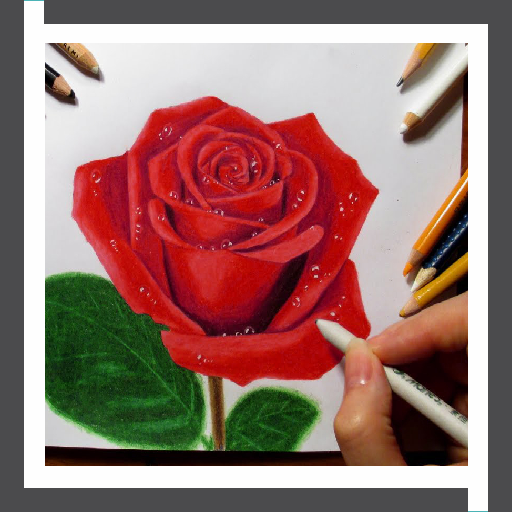 Learn to Draw Roses Flower icon