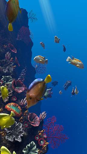 OCEAN AQUARIUM Live Wallpaper FREE screenshot 6