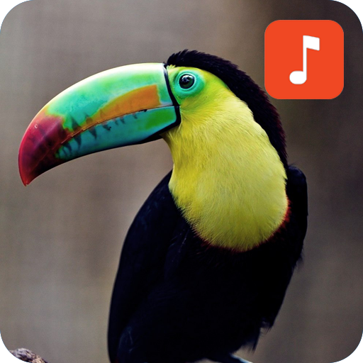 Toucan Bird Sounds иконка