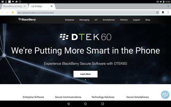 BlackBerry Access screenshot 18