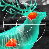 Wild Hunt: 狩猟ゲーム on 9Apps