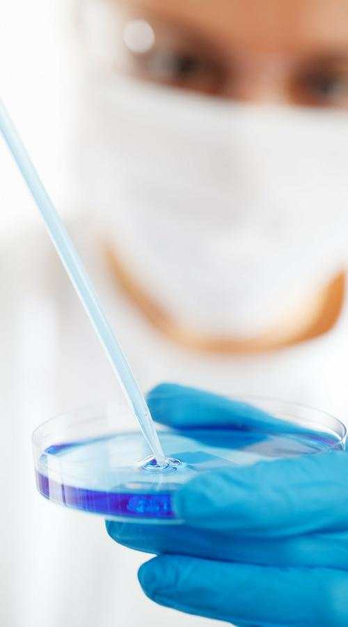 Diagnostic et Traitement des Maladies 3 تصوير الشاشة