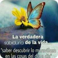 Pensamientos Sabios de Amor y Vida on 9Apps