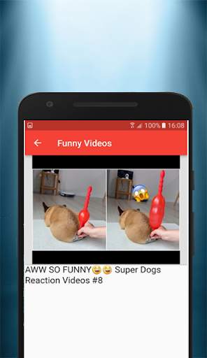 Funny Videos screenshot 3