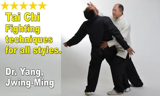 Tai Chi Martial Applications screenshot 15