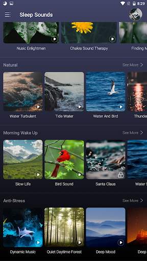 Sleep Sounds 1 تصوير الشاشة