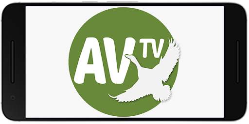 Av TV screenshot 1