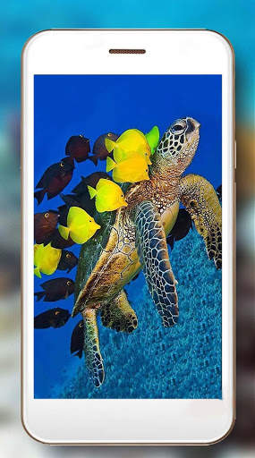 Tortoises Sea screenshot 6