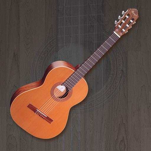 Real Guitar - Guitar Simulator 2.16