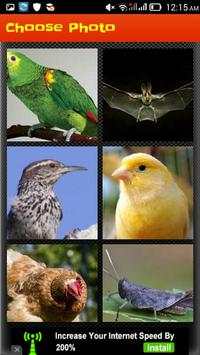Crazy Bird Puzzle screenshot 3