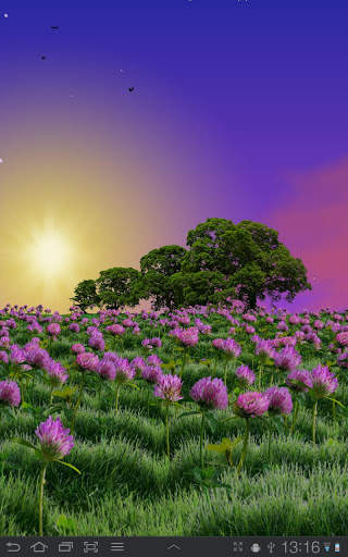 Clover Field Free screenshot 3