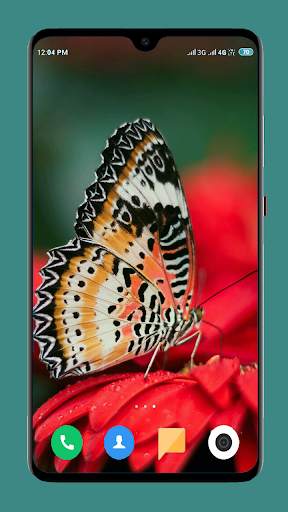 Butterfly Wallpaper 4K screenshot 2