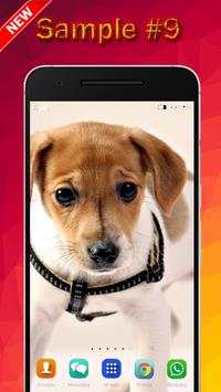 Dog Wallpaper screenshot 9