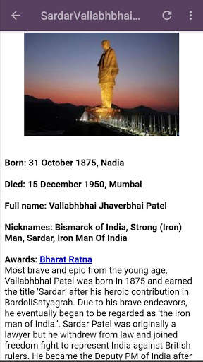 INDIA FREEDOM FIGHTERS screenshot 8