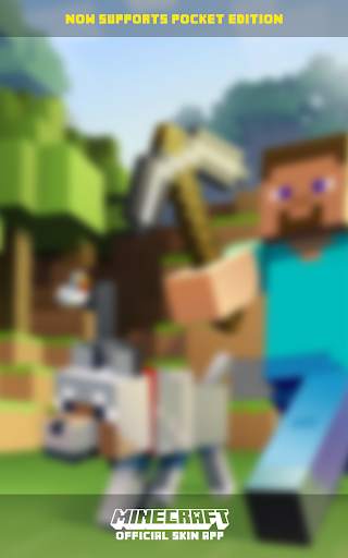 Minecraft: Skin Studio screenshot 11