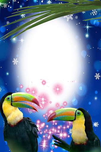Birds Photo Frames स्क्रीनशॉट 1