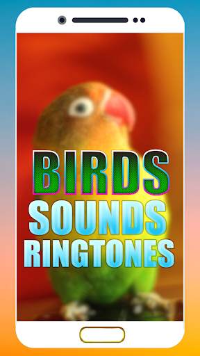 Birds Sound Ringtone screenshot 6