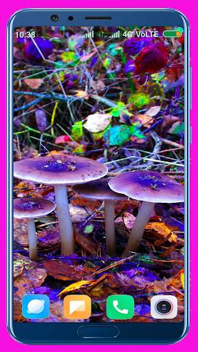 Mushroom HD Wallpaper screenshot 6
