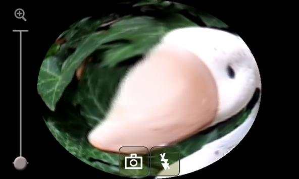 Fisheye Camera 3 screenshot 1