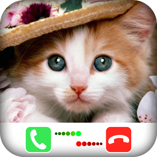 Fake Call Video Cat - simulator icon
