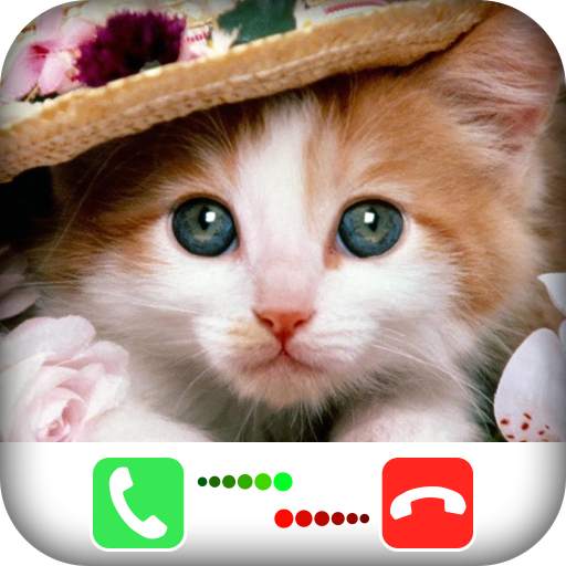 Fake Call Video Cat - simulator 1.0