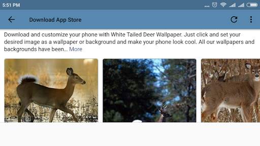 Download App Store screenshot 14