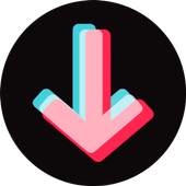 Video Downloader for TikTok 1.0