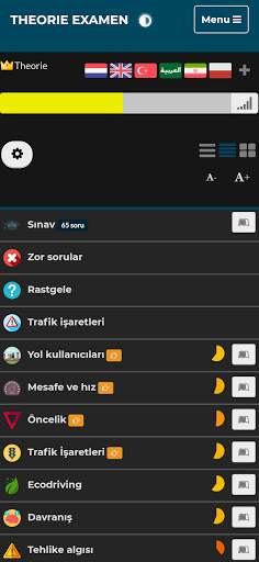 Hollandalı araba sürüş sınavı screenshot 7