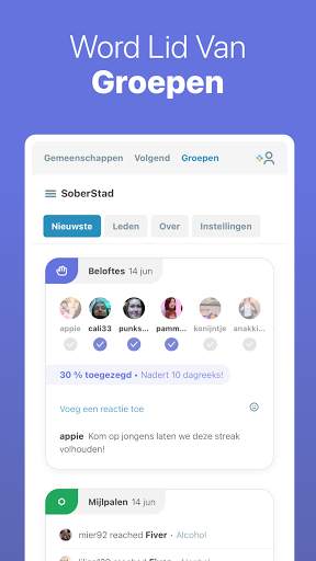 I Am Sober - Ik ben nuchter screenshot 3