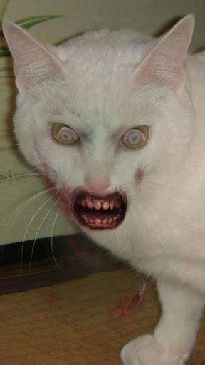 ZombieBooth screenshot 6